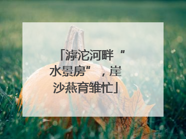 滹沱河畔“水景房”，崖沙燕育雏忙