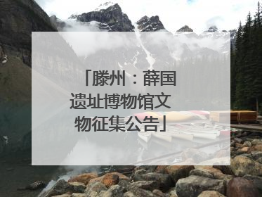 滕州：薛国遗址博物馆文物征集公告
