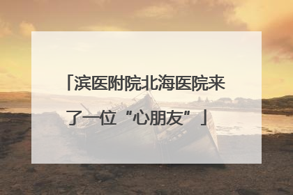 滨医附院北海医院来了一位“心朋友”