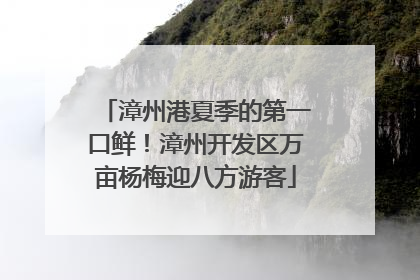 漳州港夏季的第一口鲜！漳州开发区万亩杨梅迎八方游客