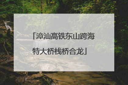 漳汕高铁东山跨海特大桥栈桥合龙