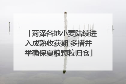菏泽各地小麦陆续进入成熟收获期 多措并举确保夏粮颗粒归仓