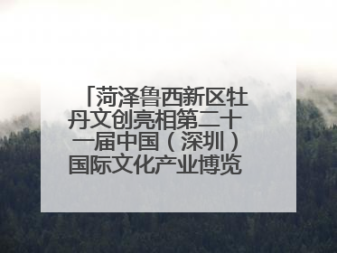 菏泽鲁西新区牡丹文创亮相第二十一届中国（深圳）国际文化产业博览交易会