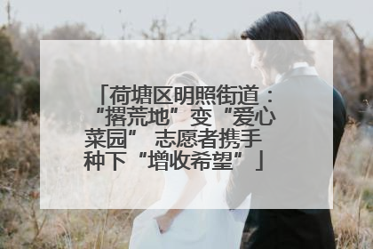 荷塘区明照街道：“撂荒地”变“爱心菜园” 志愿者携手种下“增收希望”