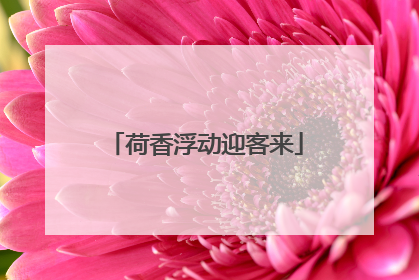 荷香浮动迎客来