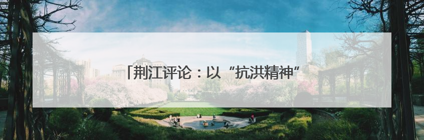 荆江评论：以“抗洪精神”筑起新时代“荆江大堤”