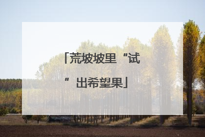 荒坡坡里“试”出希望果