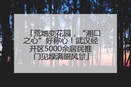 荒地变花园，“湘口之心”好称心！武汉经开区5000余居民推门见绿满眼风景