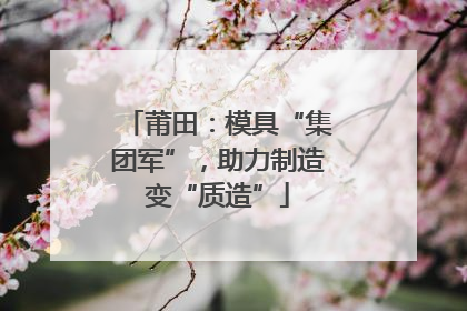 莆田：模具“集团军”，助力制造变“质造”