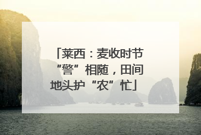 莱西：麦收时节“警”相随，田间地头护“农”忙
