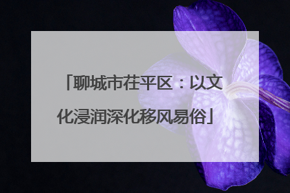 聊城市茌平区：以文化浸润深化移风易俗