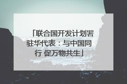 联合国开发计划署驻华代表：与中国同行 促万物共生