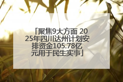 聚焦9大方面 2025年四川达州计划安排资金105.78亿元用于民生实事