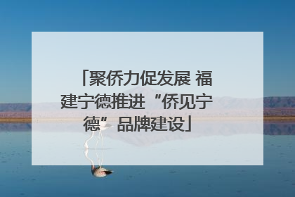聚侨力促发展 福建宁德推进“侨见宁德”品牌建设