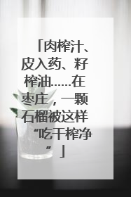 肉榨汁、皮入药、籽榨油……在枣庄，一颗石榴被这样“吃干榨净”