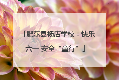 肥东县杨店学校：快乐六一 安全“童行”