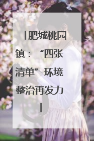 肥城桃园镇：“四张清单”环境整治再发力