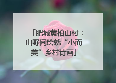 肥城黄柏山村：山野间绘就“小而美”乡村诗画
