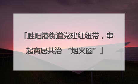 胜阳港街道党建红纽带，串起商居共治 “烟火圈”