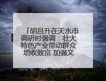 胡昌升在天水市调研时强调：壮大特色产业带动群众增收致富 加强文物保护推动文化创新发展