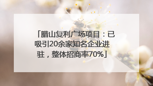腊山复利广场项目：已吸引20余家知名企业进驻，整体招商率70%