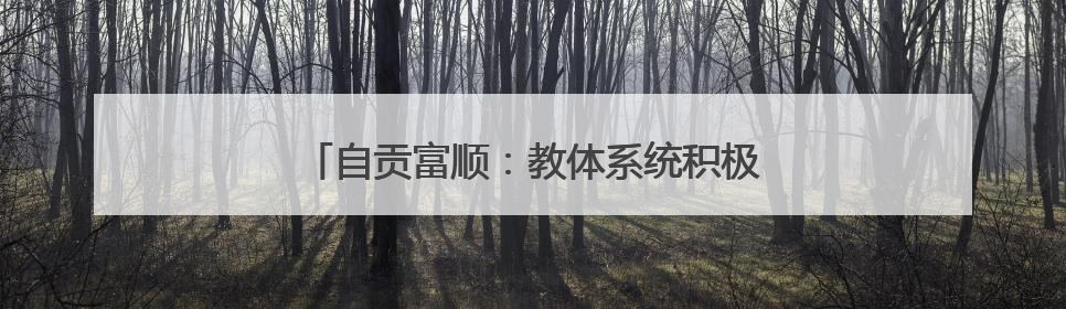 自贡富顺：教体系统积极开展助学支教志愿服务