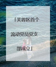 芙蓉区首个流动党员党支部成立