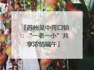 苏州吴中胥口镇：“一老一小”共享浓情端午