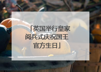 英国举行皇家阅兵式庆祝国王官方生日