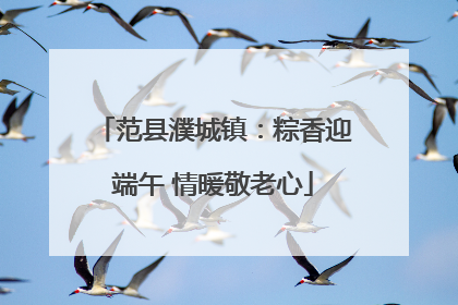 范县濮城镇：粽香迎端午 情暖敬老心