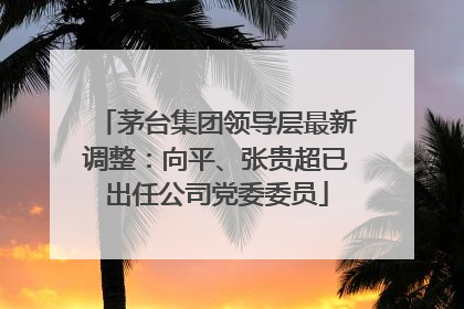 茅台集团领导层最新调整：向平、张贵超已出任公司党委委员