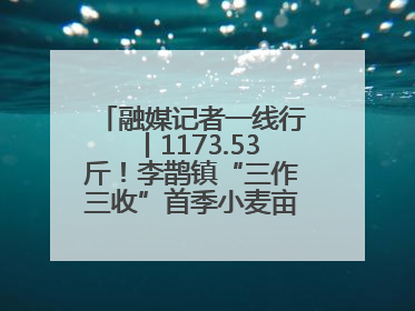 融媒记者一线行丨1173.53斤！李鹊镇“三作三收”首季小麦亩产创新高