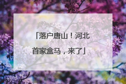 落户唐山！河北首家盒马，来了