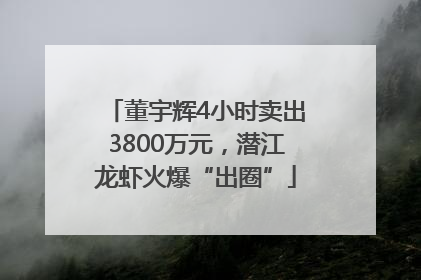 董宇辉4小时卖出3800万元，潜江龙虾火爆“出圈”