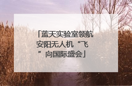蓝天实验室领航 安阳无人机“飞”向国际盛会