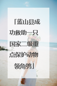 蓝山县成功救助一只国家二级重点保护动物领角鸮