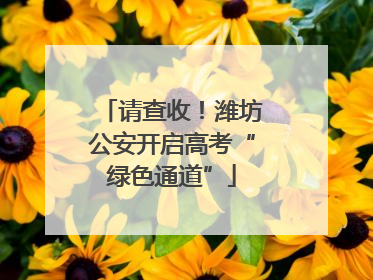 请查收！潍坊公安开启高考“绿色通道”