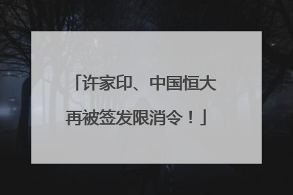 许家印、中国恒大再被签发限消令！
