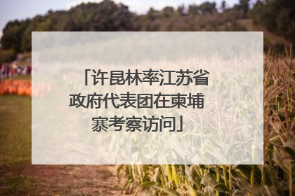 许昆林率江苏省政府代表团在柬埔寨考察访问