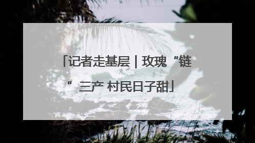 记者走基层｜玫瑰“链”三产 村民日子甜