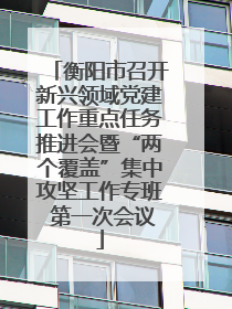 衡阳市召开新兴领域党建工作重点任务推进会暨“两个覆盖”集中攻坚工作专班 第一次会议