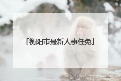 衡阳市最新人事任免