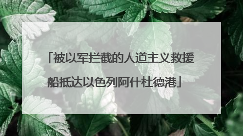 被以军拦截的人道主义救援船抵达以色列阿什杜德港