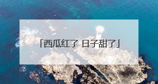 西瓜红了 日子甜了