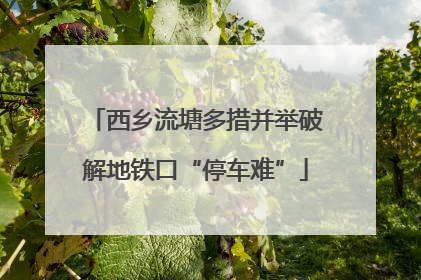 西乡流塘多措并举破解地铁口“停车难”