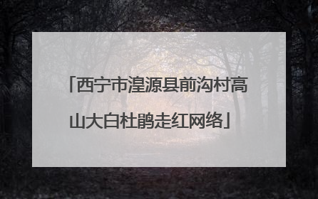 西宁市湟源县前沟村高山大白杜鹃走红网络