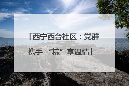 西宁西台社区：党群携手 “粽”享温情