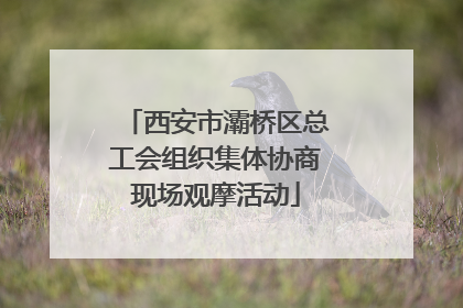 西安市灞桥区总工会组织集体协商现场观摩活动