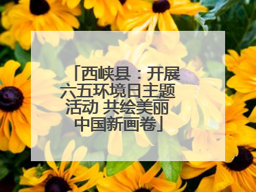 西峡县：开展六五环境日主题活动 共绘美丽中国新画卷