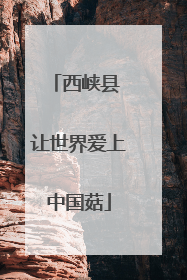 西峡县 让世界爱上中国菇